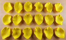18 x Edible 3D 36mm Rose Petals icing toppers, cake cupcakes decorations T044