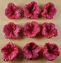 9 x Edible 3D 38mm Hibiscus flower flowers, icing toppers, cake cupcakes decorations T035