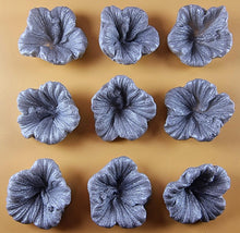 9 x Edible 3D 38mm Hibiscus flower flowers, icing toppers, cake cupcakes decorations T035