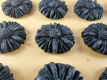 12 x Edible 3D 35mm Daisies, Daisy Flowers, icing toppers, cake cupcakes decorations T081